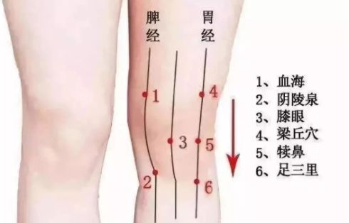 脾胃虛寒十大中成藥（脾胃虛寒7大癥狀）