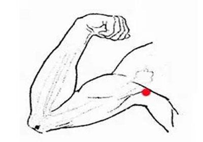 人體經(jīng)絡(luò)準(zhǔn)確位置圖和作用（人體經(jīng)絡(luò)準(zhǔn)確位置圖和作用高清圖）