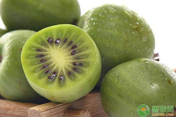 獼猴桃治什么病最快（獼猴桃治什么病最快每天吃兩個獼猴桃多久對皮膚有效）
