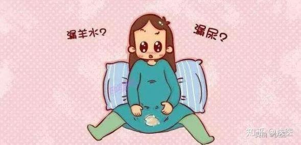 怎樣判斷自己是不是懷孕（怎樣判斷自己是不是懷孕了前兩個月）