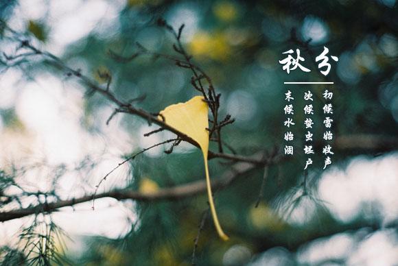 養生句子短句走心（養生金句50句）