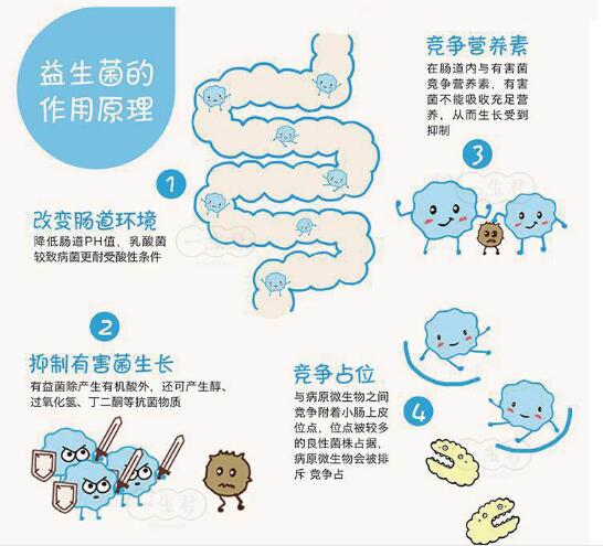 過敏性鼻炎說明體質差（免疫力提高了鼻炎會好嗎）