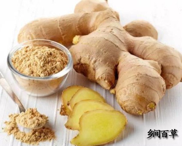 生姜的功效與作用及禁忌（干姜與生姜的功效與作用及禁忌）