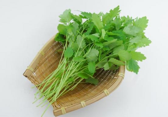 益母草的作用（益母草的作用及功效什么時候吃）