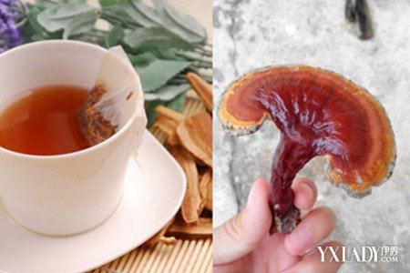 靈芝最好的食用方法(白肉靈芝最好的食用方法)