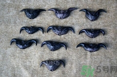 菱角的功效與作用禁忌及食用方法（菱角的功效與作用禁忌及食用方法尋中醫藥專家官方網）