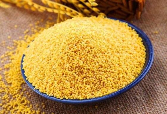 小米的功效與作用及營養價值(糙米的功效與作用及營養價值)