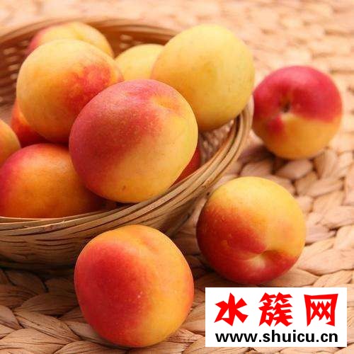 孕婦不能吃哪些水果 孕婦不能吃的十大水果 1、桂圓