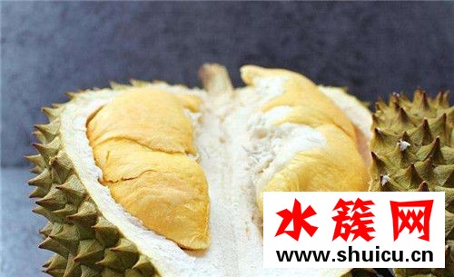 孕婦不能吃哪些水果 孕婦不能吃的十大水果 1、桂圓