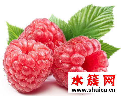 什么水果消化最好