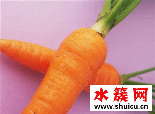 春季養生必吃十種食物