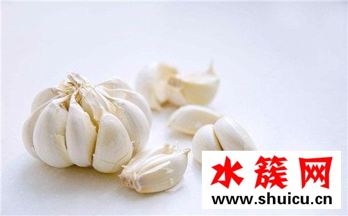 春季養生必吃十種食物