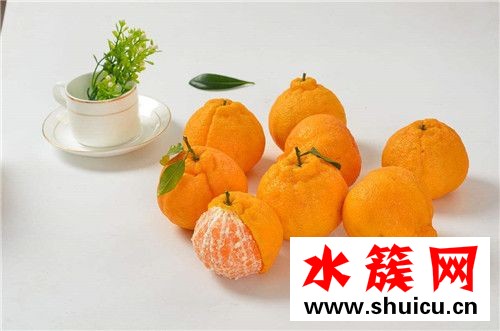 春季養生必吃十種食物