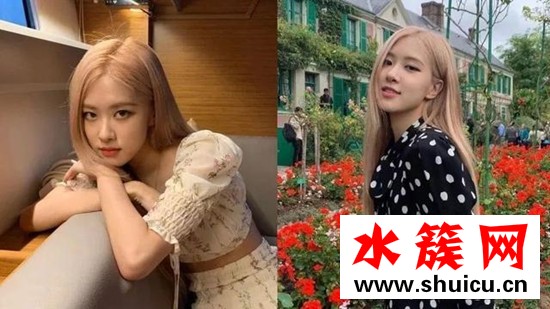 2019秋冬發色推薦