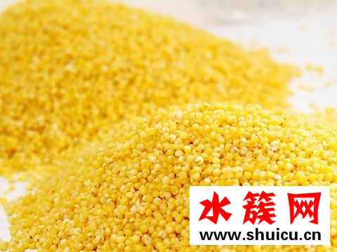 高考吃什么增加記憶力？