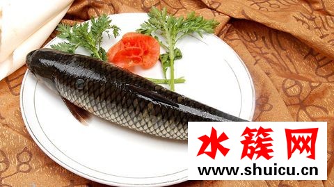 高考吃什么增加記憶力？