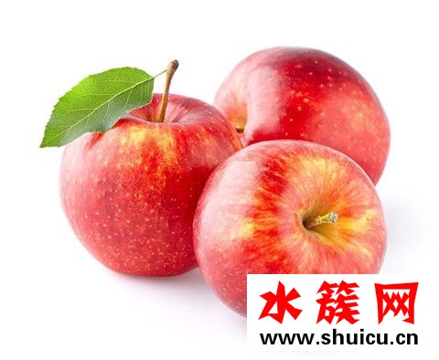 提神的食物有哪些