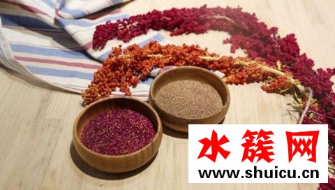 提神的食物有哪些