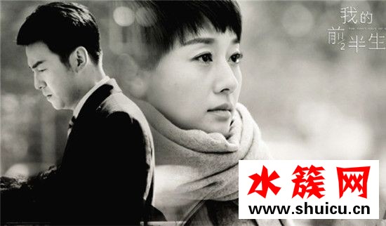 羅子君離婚后找了哪些工作