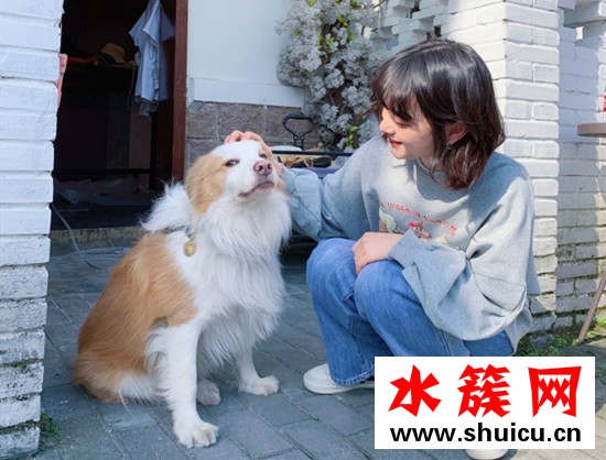 2019秋冬流行什么短發(fā) 2019秋冬流行最新短發(fā)發(fā)型女 2019秋冬短發(fā)范本推薦