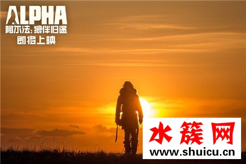 阿爾法:狼伴歸途什么時候上映 阿爾法:狼伴歸途劇情介紹 阿爾法:狼伴歸途什么時候上映