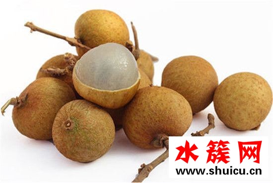 桂圓和龍眼的區別圖片 桂圓和龍眼是一種水果嗎 桂圓和龍眼的區別圖片