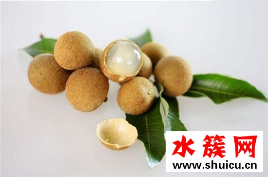 桂圓和龍眼的區別圖片 桂圓和龍眼是一種水果嗎 桂圓和龍眼的區別圖片