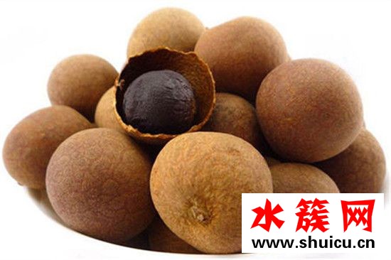 桂圓和龍眼的區別圖片 桂圓和龍眼是一種水果嗎 桂圓和龍眼的區別圖片