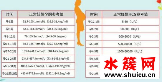 hcg低吃什么補得快 hcg低的原因正常范圍表 hcg低吃什么補得快