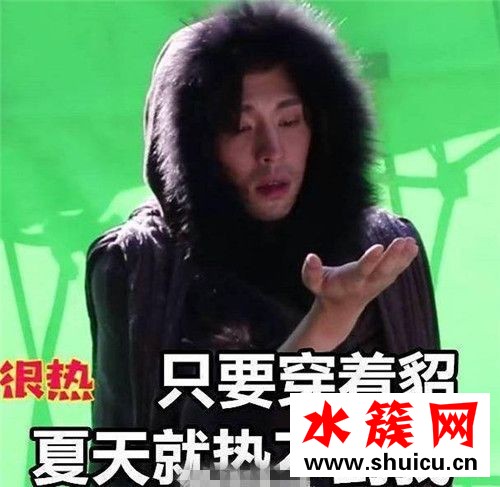 貂哥尋妻是什么梗