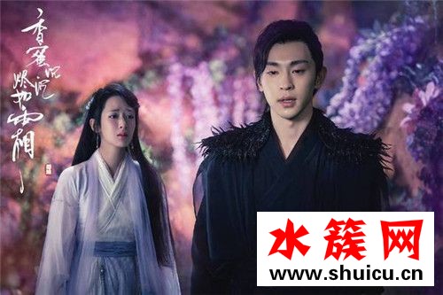 貂哥尋妻是什么梗