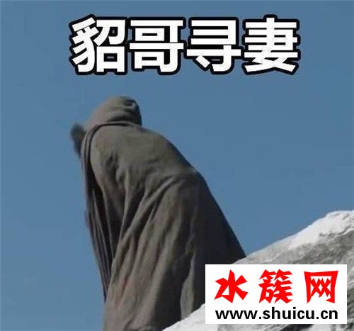 貂哥尋妻是什么梗