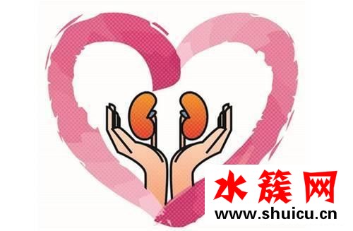 8個信號說明腎臟病了 腎臟應該怎么保養 8個信號說明腎臟病了
