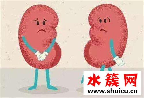8個信號說明腎臟病了 腎臟應該怎么保養 8個信號說明腎臟病了