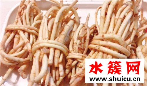 折耳根是不是發物 折耳根是寒性的嗎 折耳根是不是發物