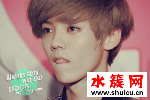 春雨里洗過的太陽mp3下載 鹿晗春雨里洗過的太陽下載 春雨里洗過的太陽鹿晗現場版