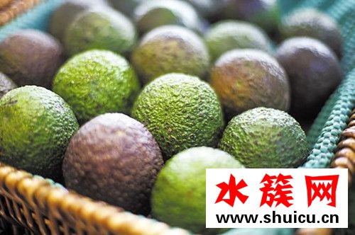 吃牛油果的最佳時(shí)間