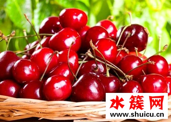 痛經吃什么食物能緩解 緩解痛經最有效的食物排行榜 緩解痛經最有效的食物排行榜