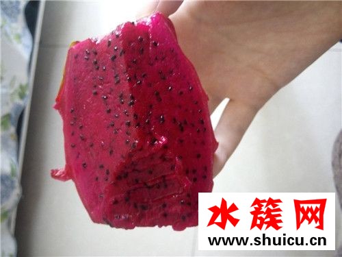 紅心火龍果不能和什么一起吃