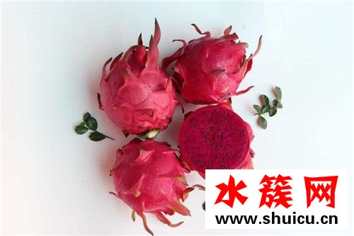 紅心火龍果不能和什么一起吃