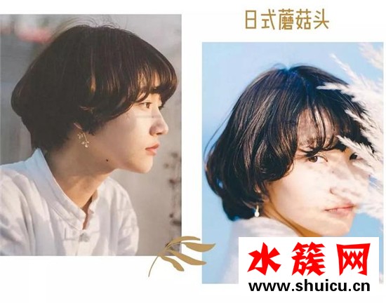 2019秋冬最流行的短發發型圖片