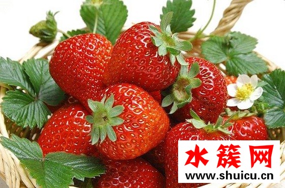 祛斑的方法有哪些,怎樣能快速祛斑 祛斑的方法有哪些,怎樣能快速祛斑