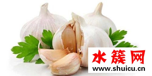 春季養(yǎng)生宜吃什么 春季養(yǎng)生必吃十種食物 春季養(yǎng)生必吃十種食物