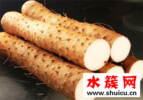 春季養(yǎng)生宜吃什么 春季養(yǎng)生必吃十種食物 春季養(yǎng)生必吃十種食物