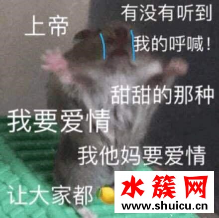 嘴炮式戀愛是什么意思