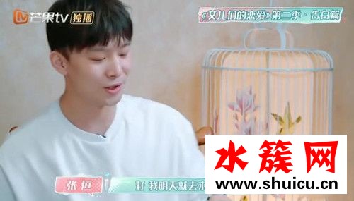 張恒鄭爽結(jié)婚計(jì)劃