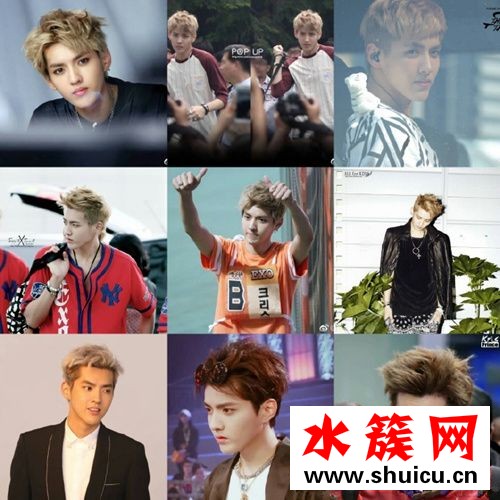 吳亦凡造型像光頭強