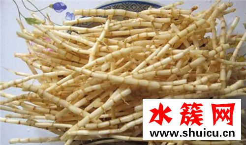 白茅根有什么副作用 白茅根孕婦可以喝嗎 白茅根有什么副作用