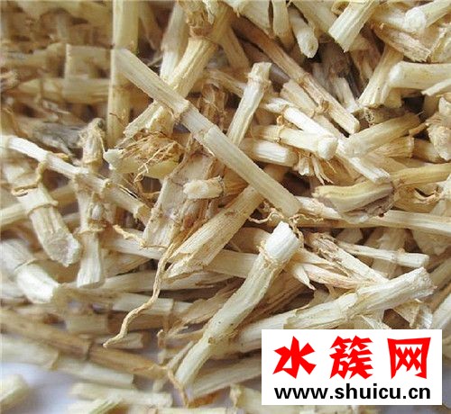 白茅根有什么副作用 白茅根孕婦可以喝嗎 白茅根有什么副作用