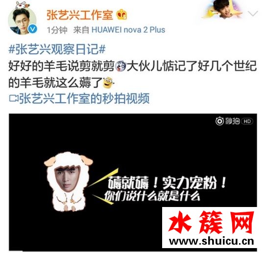 張藝興薅羊毛是什么意思